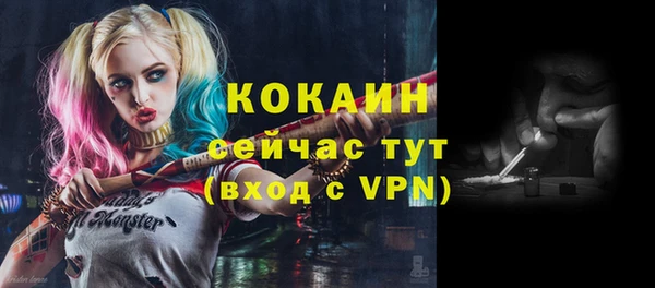 прущие грибы Заволжье