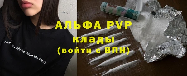 крисы Заводоуковск