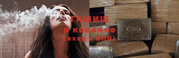 прущие грибы Заволжье