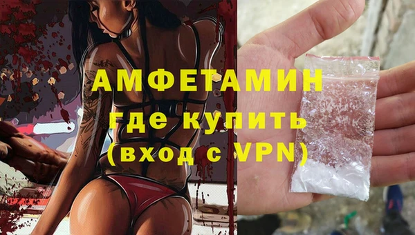 PSILOCYBIN Елабуга