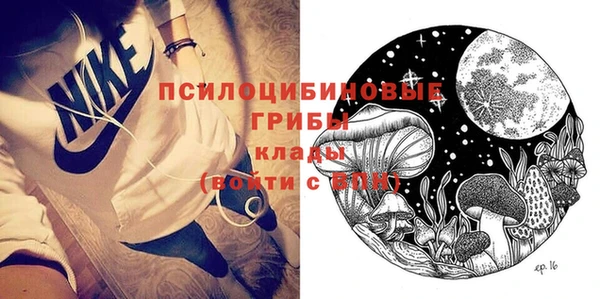 крисы Заводоуковск