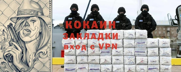 прущие грибы Заволжье