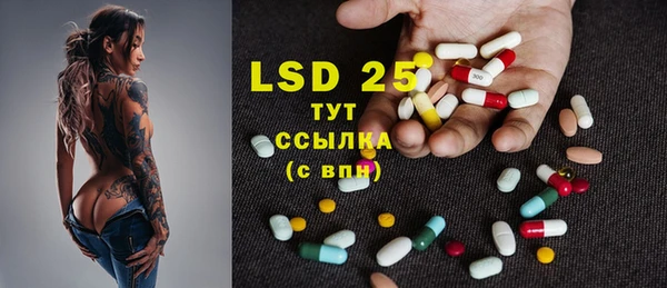 прущие грибы Заволжье