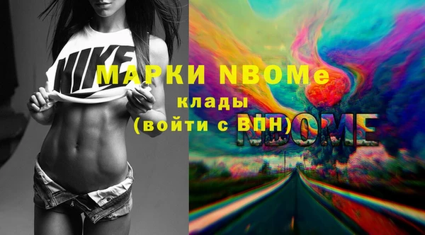прущие грибы Заволжье