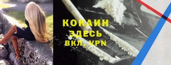 крисы Заводоуковск