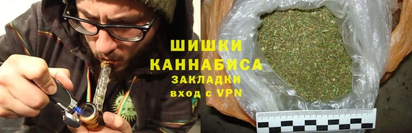 PSILOCYBIN Елабуга