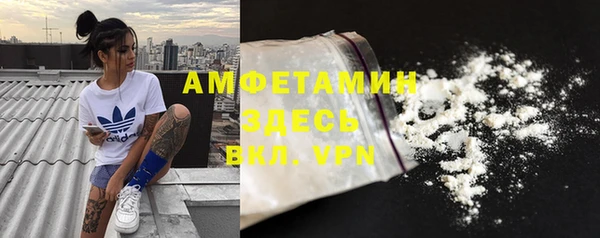 прущие грибы Заволжье