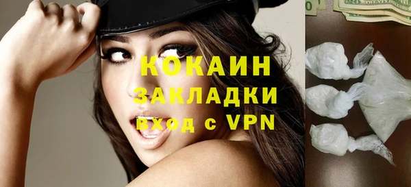 прущие грибы Заволжье