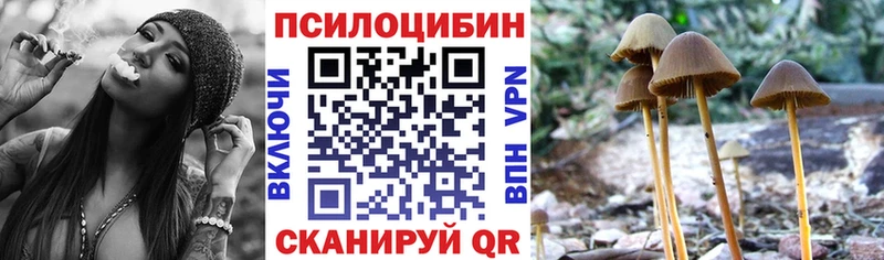 Псилоцибиновые грибы MAGIC MUSHROOMS Купить где Называевск